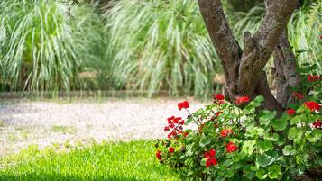 Terrein van de accommodatie