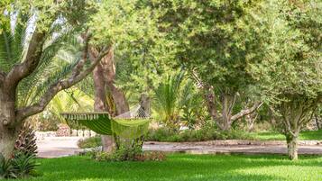 Terrein van de accommodatie