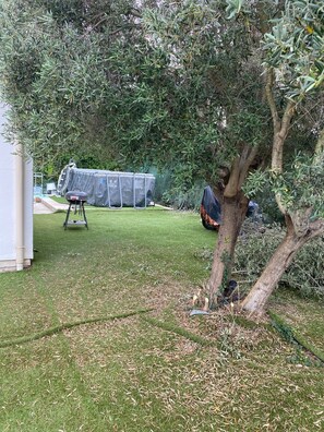 Un pati amb un trampolí, una piscina coberta i un arbre.