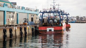 A large industrial ship docked at a port with a blue building and a ladder leading to the ship's deck.