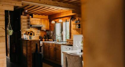 Cozy and romantic forest house at Veluwe