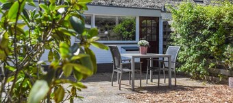 Cosy forest hideout @ Veluwe