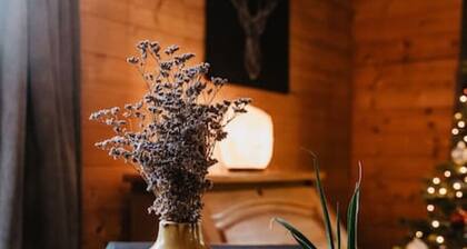 Cozy and Romantic forest house at Veluwe