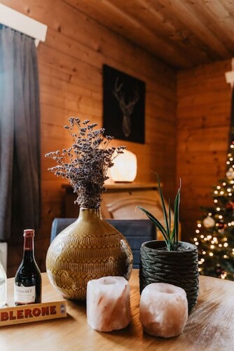 Cozy and Romantic forest house at Veluwe