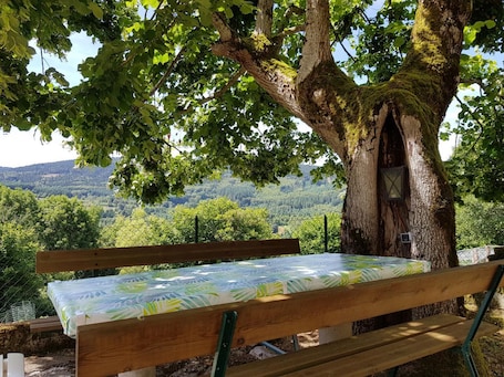 Outdoor dining. Green cottage 8 pers, pets allowed, parking