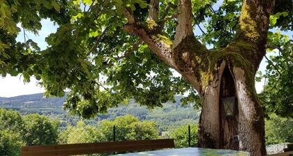 Charming Cottage in Montagne Bourbonnaise, Pets Welcome