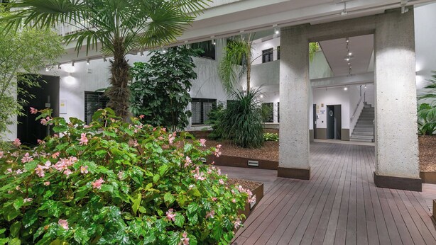 A spacious indoor atrium with a central wooden walkway, surrounded by lush greenery and a palm tree. - Holiday Rentals Tempa Museo (Seville)
