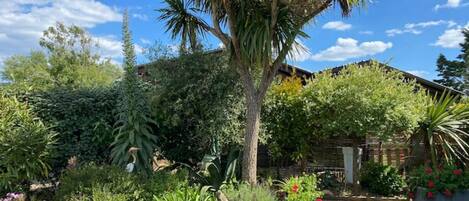 Área da propriedade