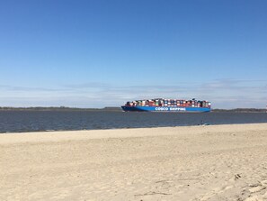 A beach with a large blue ship labeled "COSCO SHIPPING" in the water.