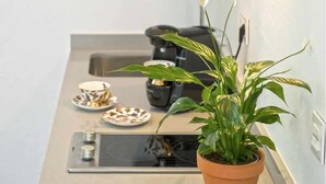 Una cocina moderna con una campana extractora de acero inoxidable, un lavamanos integrado y una planta en maceta.