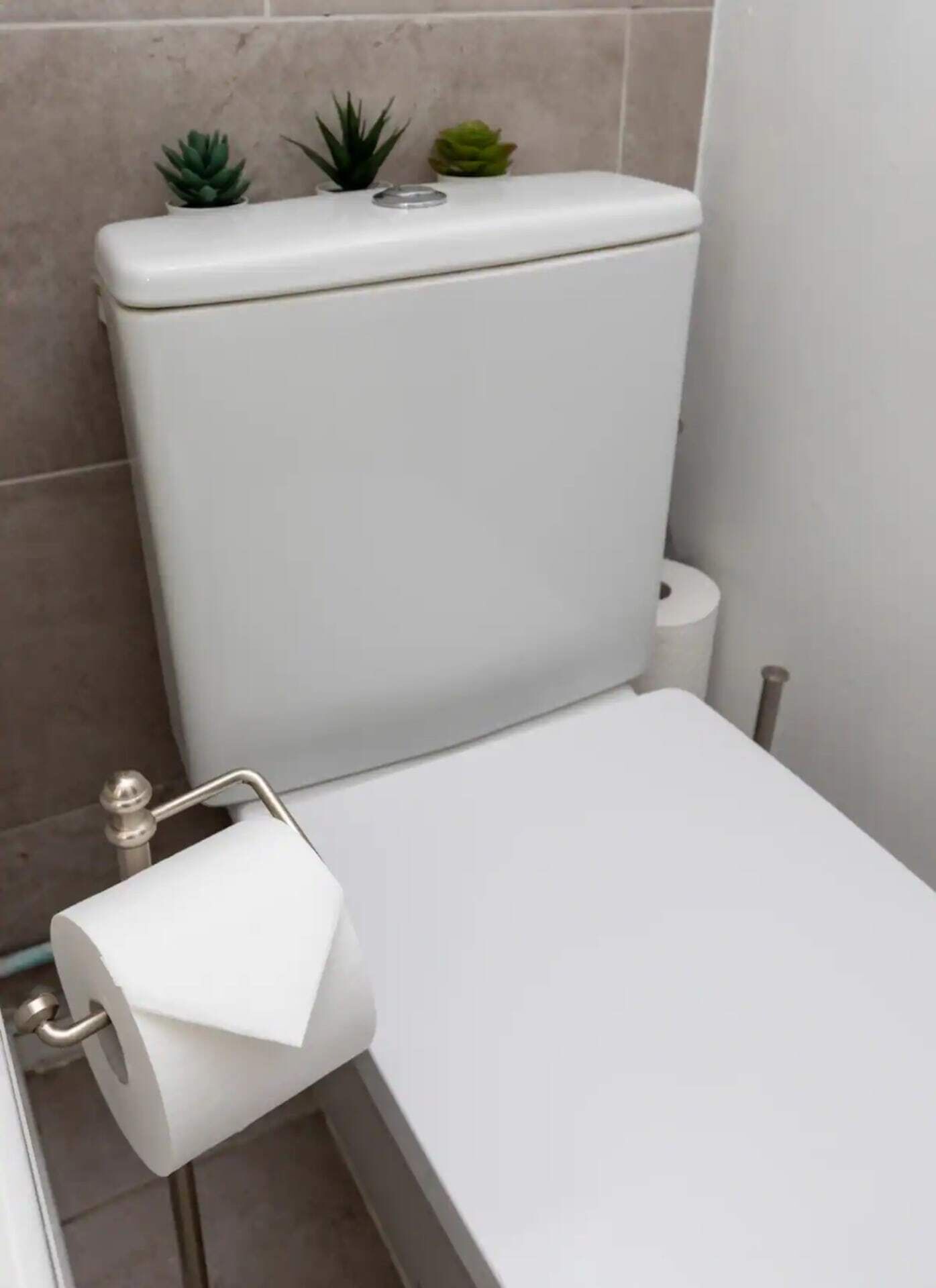 A bathroom with a white toilet, a toilet paper holder, and two small potted plants on the wall.