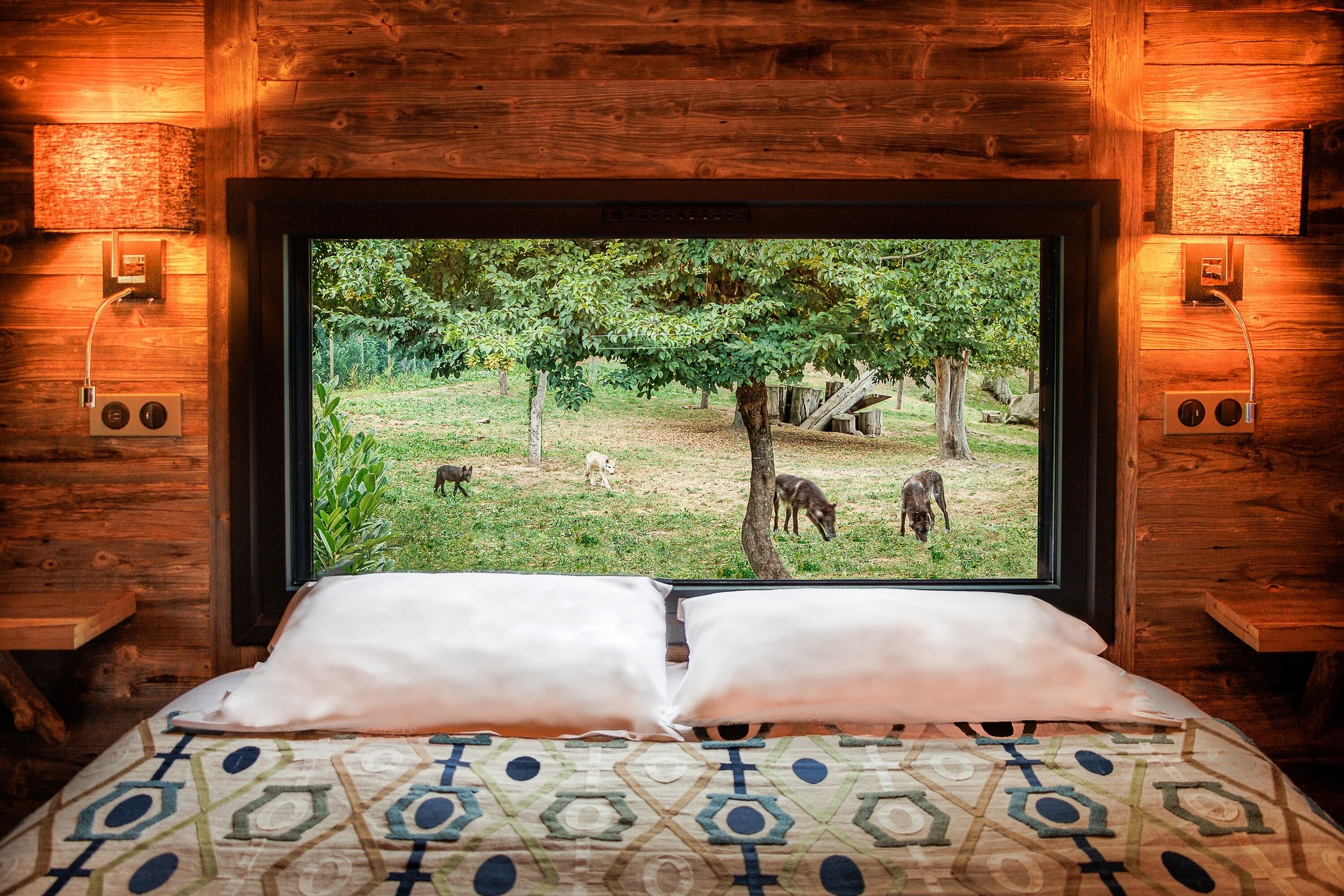 A bed with a patterned bedspread and pillows, a television screen displaying a view of a grassy area with trees and dogs, and wooden walls with wall-mounted lights.