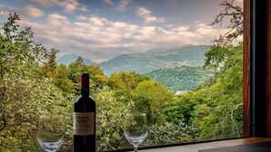 A table with a bottle of wine and two glasses, set against a scenic mountain view.