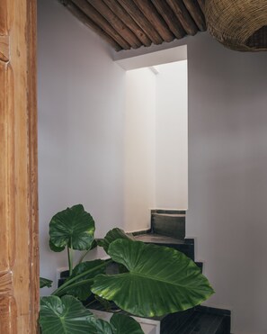 A staircase with large green leaves at the bottom, leading to a bright room.