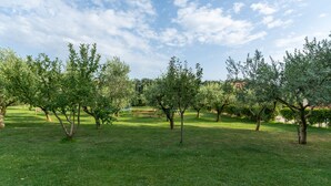 A well-maintained park with evenly spaced trees and a clear sky. - Fiorini in Fiorini Brtonigla (Brtonigla)