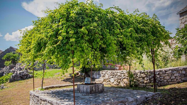 A stone wall with a tree in a courtyard. - Ognjistar in Zmijavci (Zmijavci)