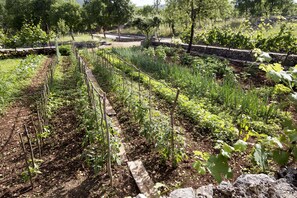 Villa | 3 soveværelser