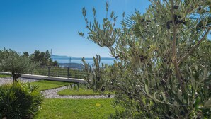 Un jardín ajardinado con olivos, un sendero y vista al mar.