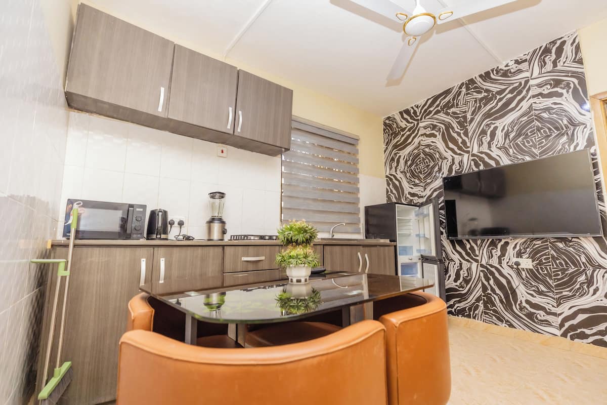 A compact kitchen with a microwave, toaster, and sink, a dining table with chairs, a potted plant, and a TV mounted on the wall.
