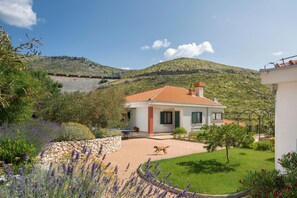 Biệt thự | 6 phòng ngủ 