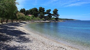 Ein Kiesstrand mit klarem Wasser, Bäumen und einer fernen Küste.