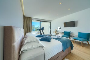 Villa | 4 bedrooms - Bellevue in Bast Ba ka Voda (Baska Voda)