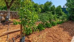 A garden with various plants and a stone wall. - Organic Gardens in Crikvenica (Crikvenica)