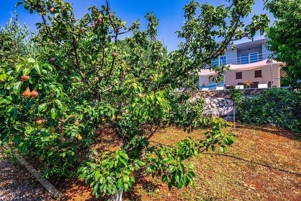 House | 4 bedrooms - Organic Gardens in Crikvenica (Crikvenica)