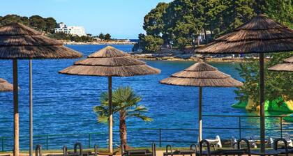 Pia in Vabriga With 2 Bedrooms and 2 Bathrooms