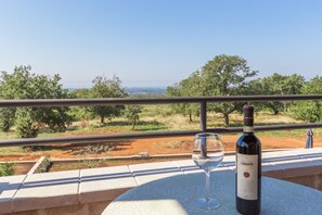 Villa | 4 bedrooms - Laura An in Dekli i (Kastelir-Labinci)