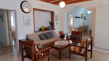 Smart TV, fireplace, DVD player, books