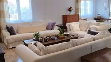 Smart TV, fireplace, DVD player, books