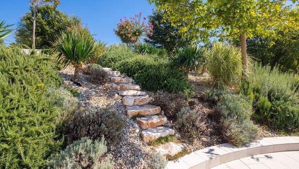 Un jardín ajardinado con un sendero de piedra que asciende por una pendiente, rodeado de arbustos y árboles diversos.