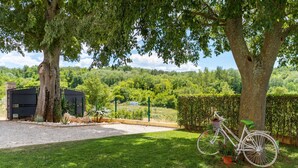 A bicycle parked under a tree in a grassy area with a view of a forested landscape. - Zvonar in Rakotule With 3 Bedrooms and 3 Bathrooms (Karojba)