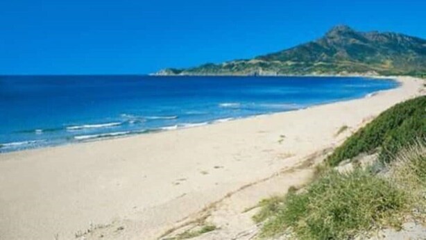 Une plage offrant une vue dégagée sur l’océan, avec une montagne en arrière-plan.