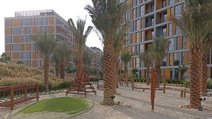 Un complejo residencial moderno con varios balcones, palmeras y un jardín bien cuidado.