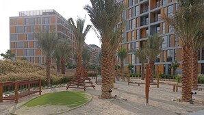 Un edificio moderno con varios balcones, rodeado de palmeras y una zona ajardinada con un puente de madera.