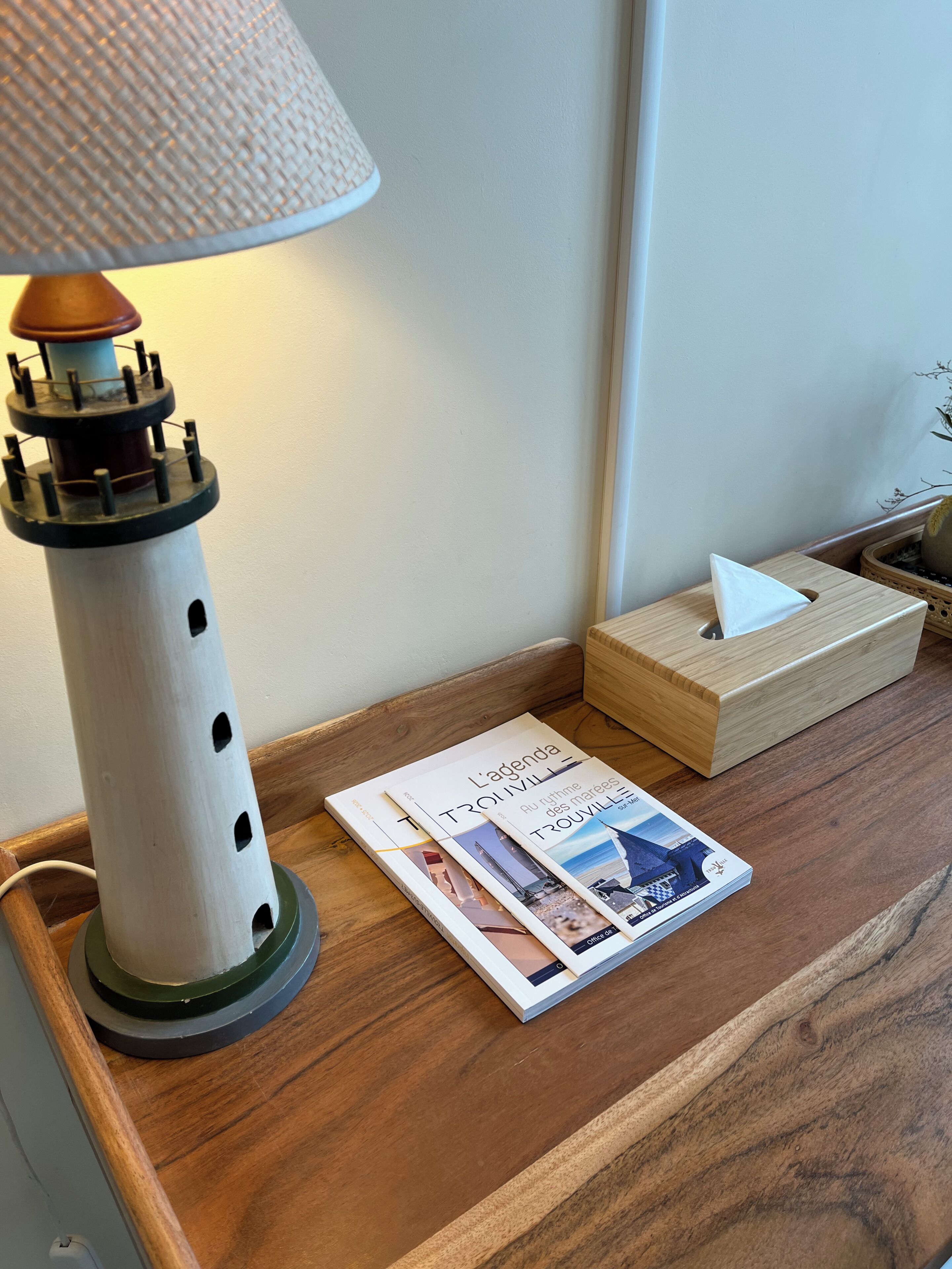 Una mesita de noche de madera con una lámpara, un dispensador de pañuelos y una revista.