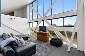 TV, fireplace, books