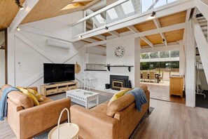 TV, fireplace, books