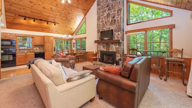 Smart TV, fireplace - Private Dog Friendly Mountain Cabin w/ Hot Tub (Oakland)