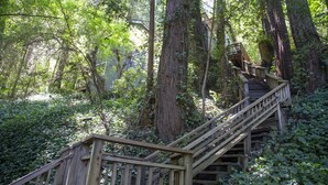 A wooden staircase leading up a forested area with large trees and dense foliage. - Stairway to Haven ~ Family Cabin in Monte Rio (Monte Rio)