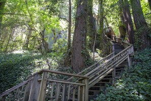 Property grounds - Stairway to Haven ~ Family Cabin in Monte Rio (Monte Rio)