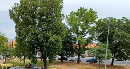 very bright apartment in Viareggio centre