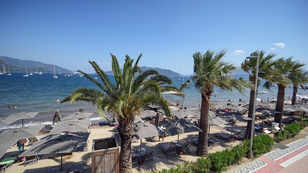 A beach with sun loungers, umbrellas, and palm trees.