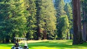 A golf cart on a well-manicured green with tall trees in the background. - Guerneville~Russian River Views~Hot Tub~Game Room~Fire Table~Lazy River Lodge (Guerneville)