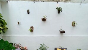 Zona d'estar exterior moderna amb dos sofàs i una taula petita, envoltada de plantes en testos sobre una paret blanca.