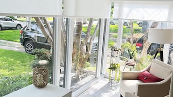 Smart TV, fireplace, books