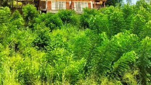 Exterior - Brisk Ella Retreat  (Kumbalwela)