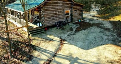 Larsen Hunters Rustic Cabin